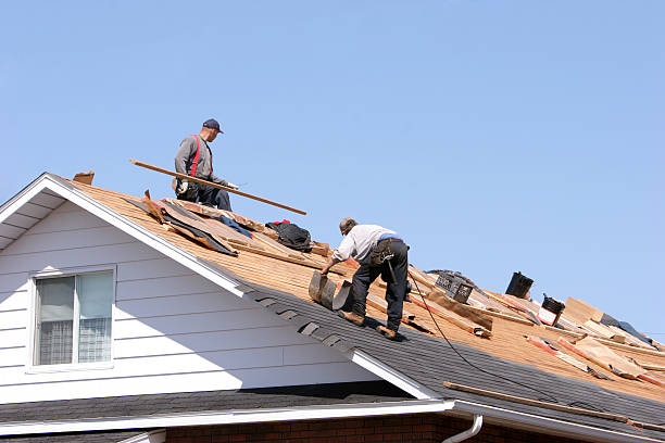 Best Roof Moss and Algae Removal  in Gotha, FL